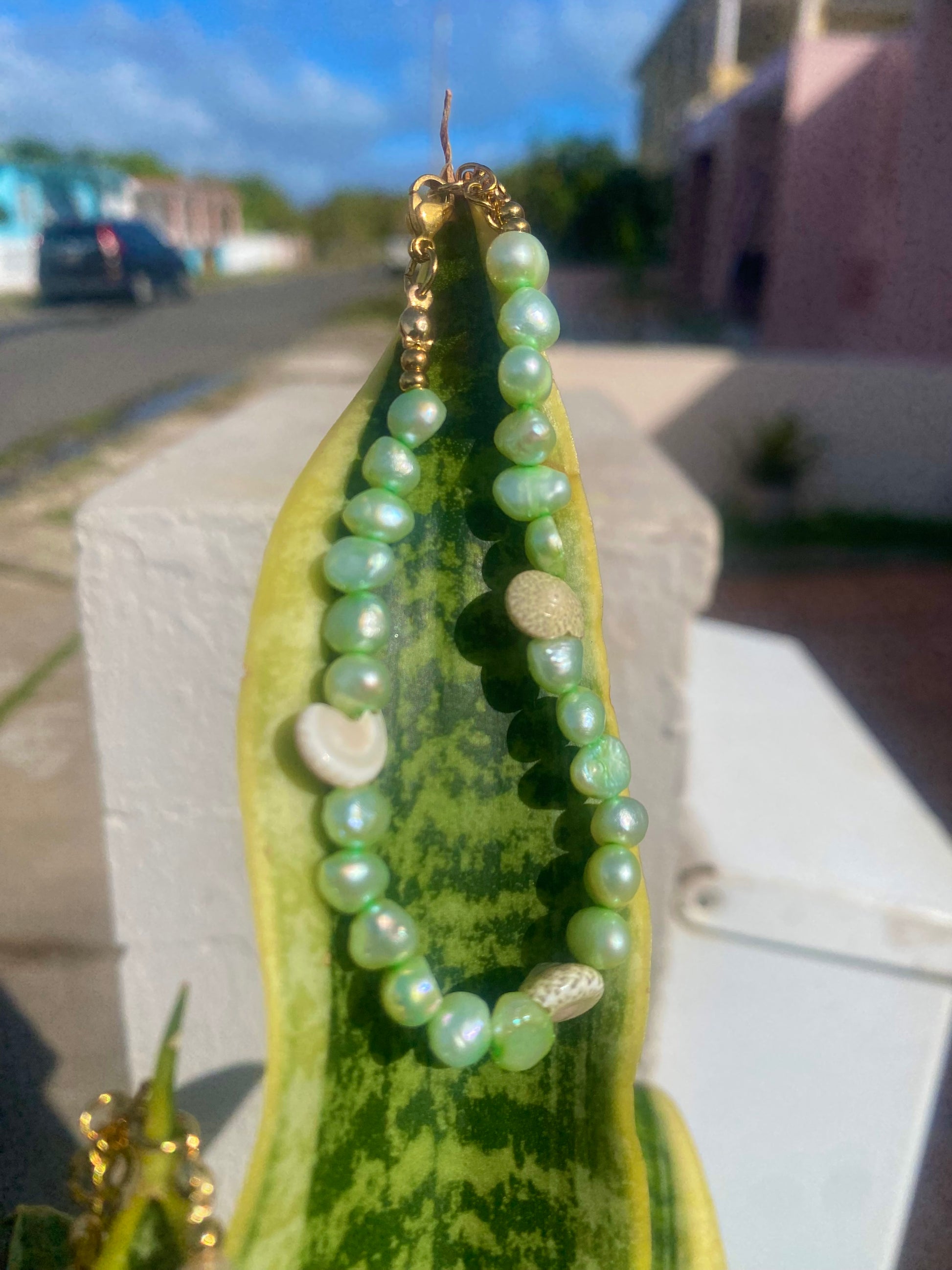 Pearl in color bracelet