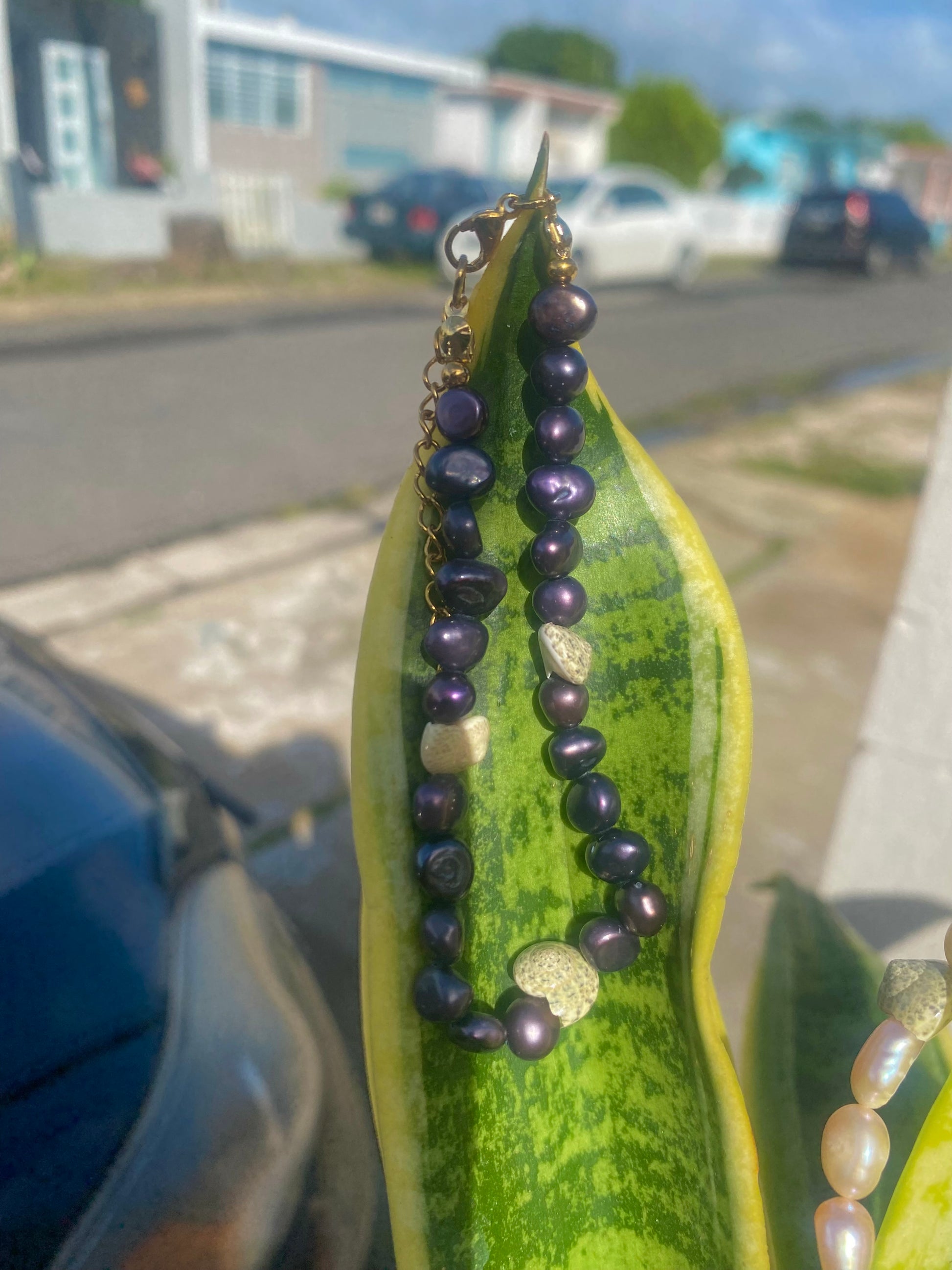 Pearl in color bracelet